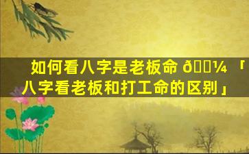 如何看八字是老板命 🌼 「八字看老板和打工命的区别」